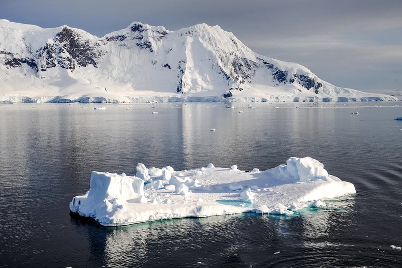 Extremophiles in Antarctica